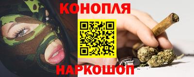 сатива Аргун