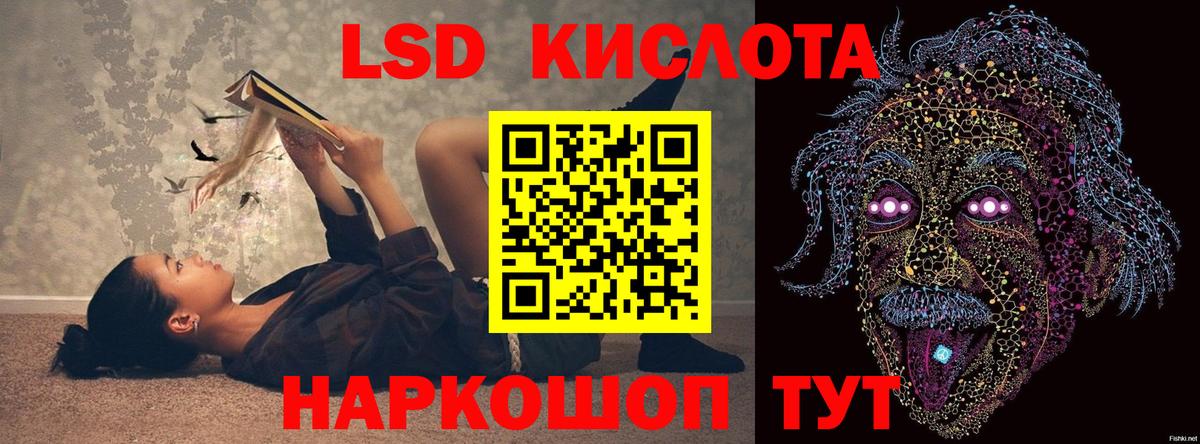 NBOMe Бердск